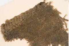 Foto von Textil (NHMW-PRAE-126320)